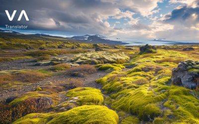 Vacaciones en Junio: ¿Por Qué Visitar Islandia en verano?