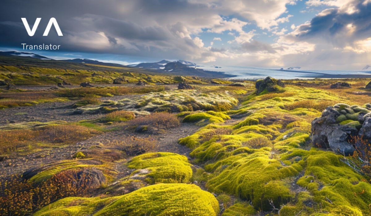 Foto de un paisaje en islandia