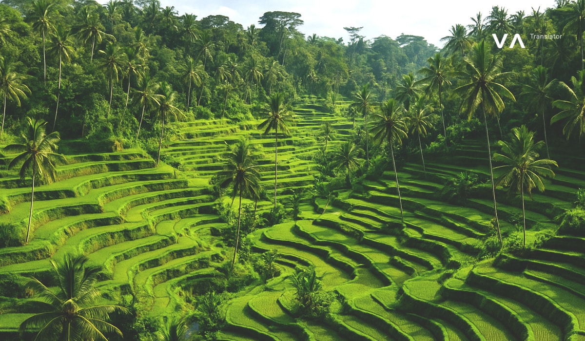 Impresionante vista de las verdes terrazas de arroz de Tegallalang, en Bali, rodeadas de palmeras.