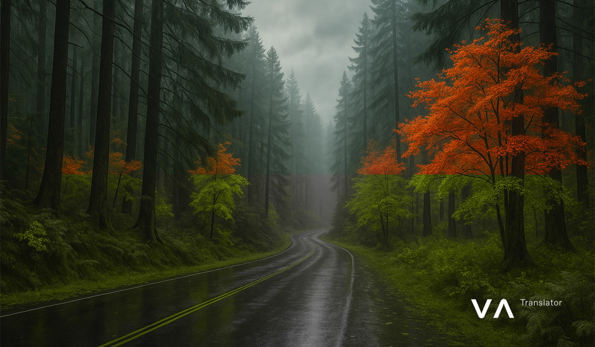 Camino forestal brumoso con árboles otoñales anaranjados y pavimento mojado.