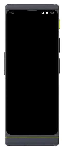 Vasco translators v4 device